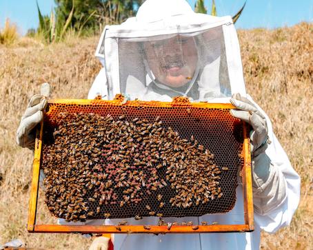 Ruta Pantera Travel Image