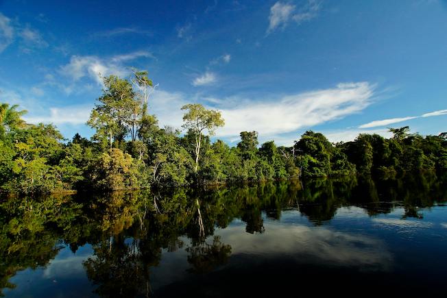 Ruta Pantera Travel Image