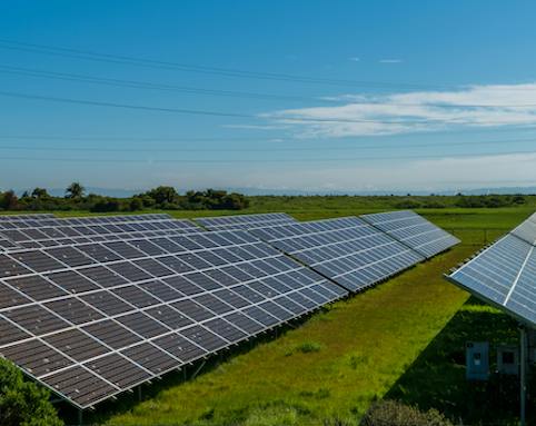 Ruta Pantera Travel Image